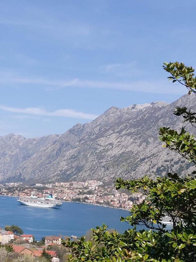 Willa Casa Vecchia Kotor Zewnętrze zdjęcie